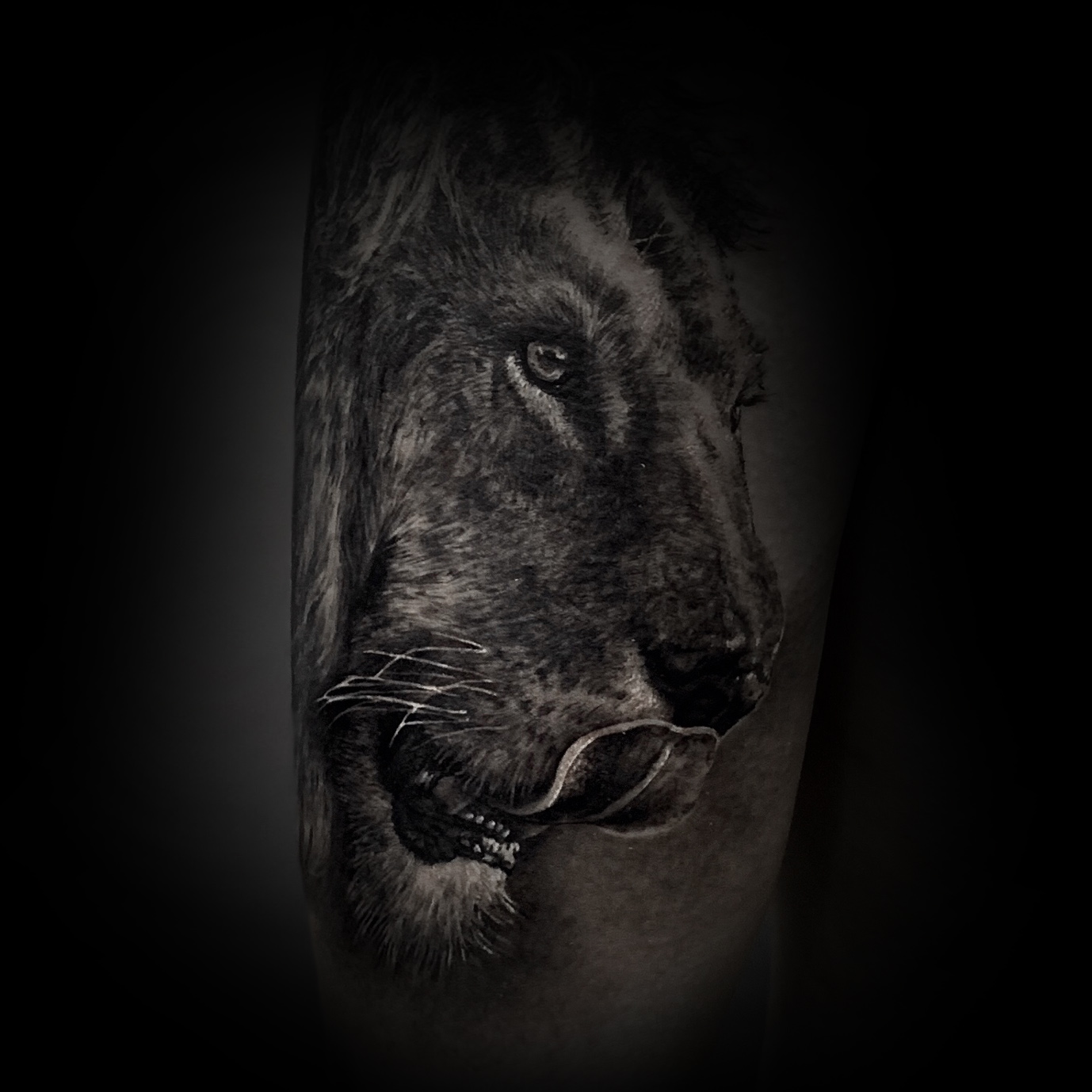 果洛写实纹身狮子纹身