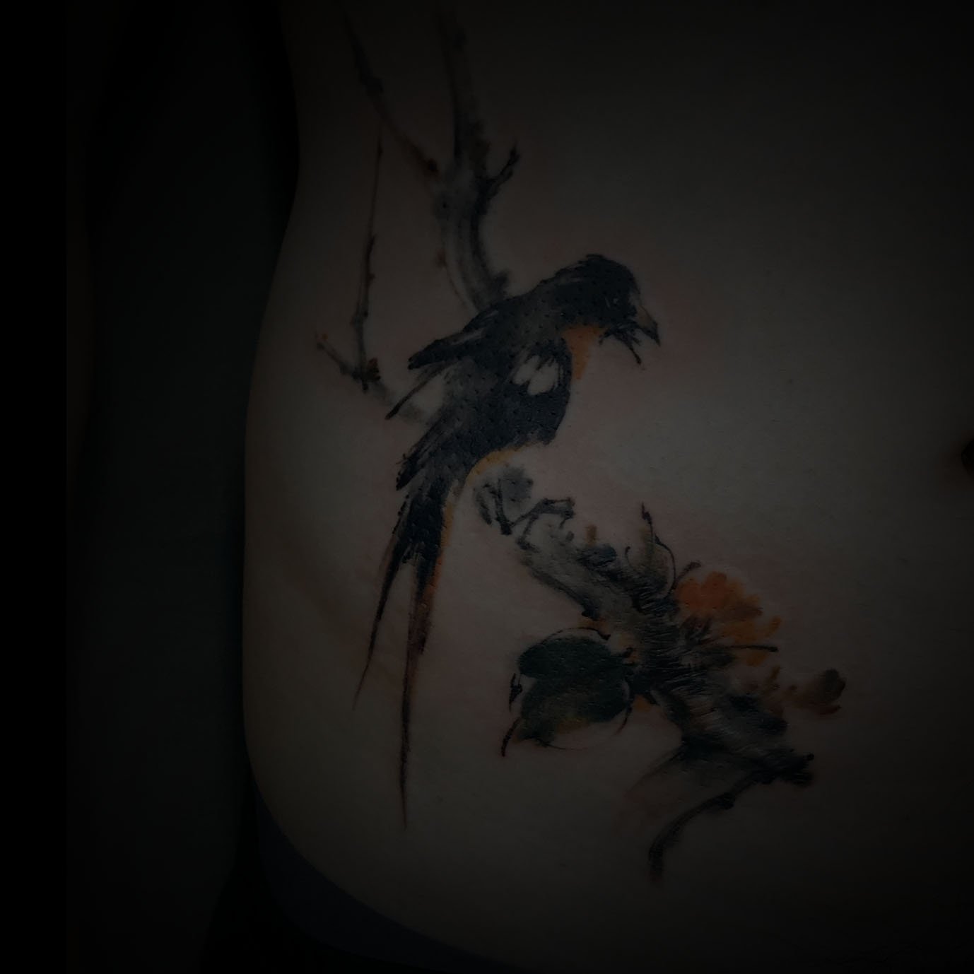 克拉玛依燕子纹身腹部纹身